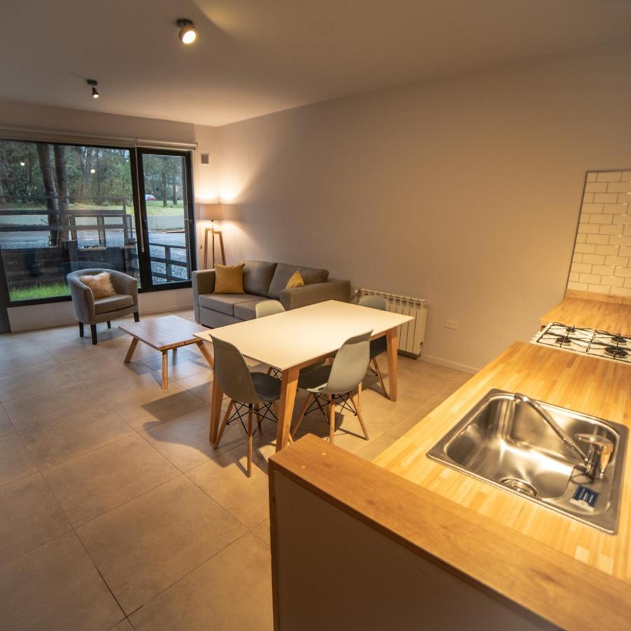 Appartement Bog Norway à Villa La Angostura Extérieur photo